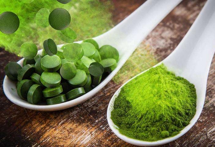 螺旋藻好色先生TV免费下载